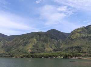 lukisan hidupan laut hitam putih